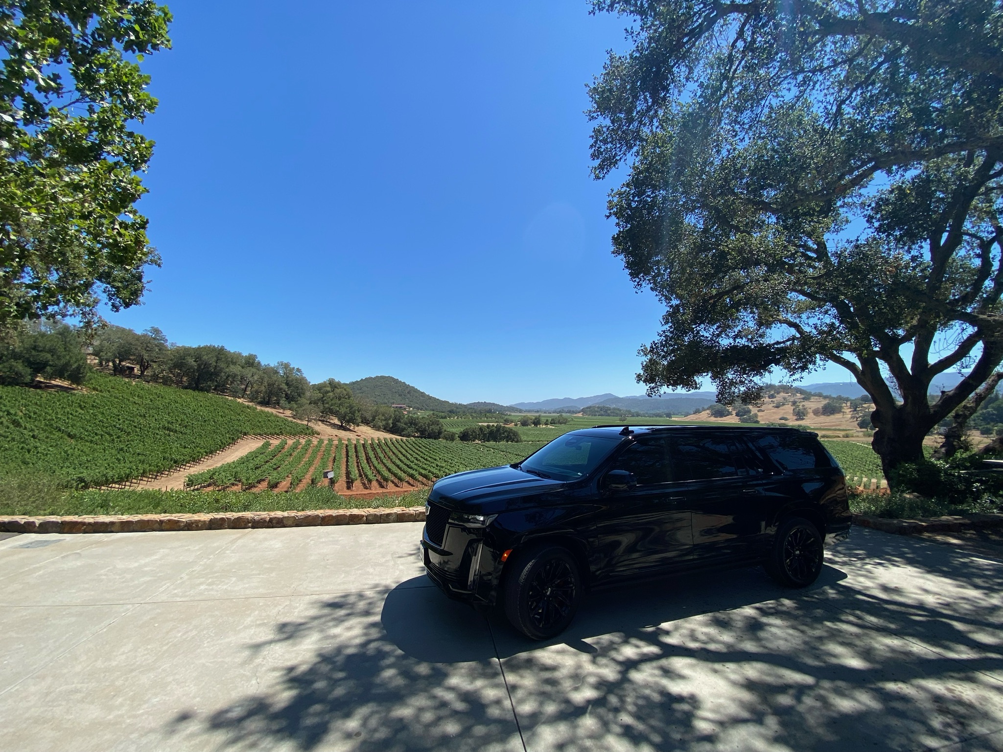 mgllimo in napa valley